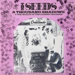 seeds-thousand-shadows-pink-picture-sleeve