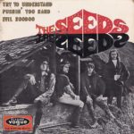 seeds-try-understand-pushin-evil-hoodoo-disques-vogue-1966
