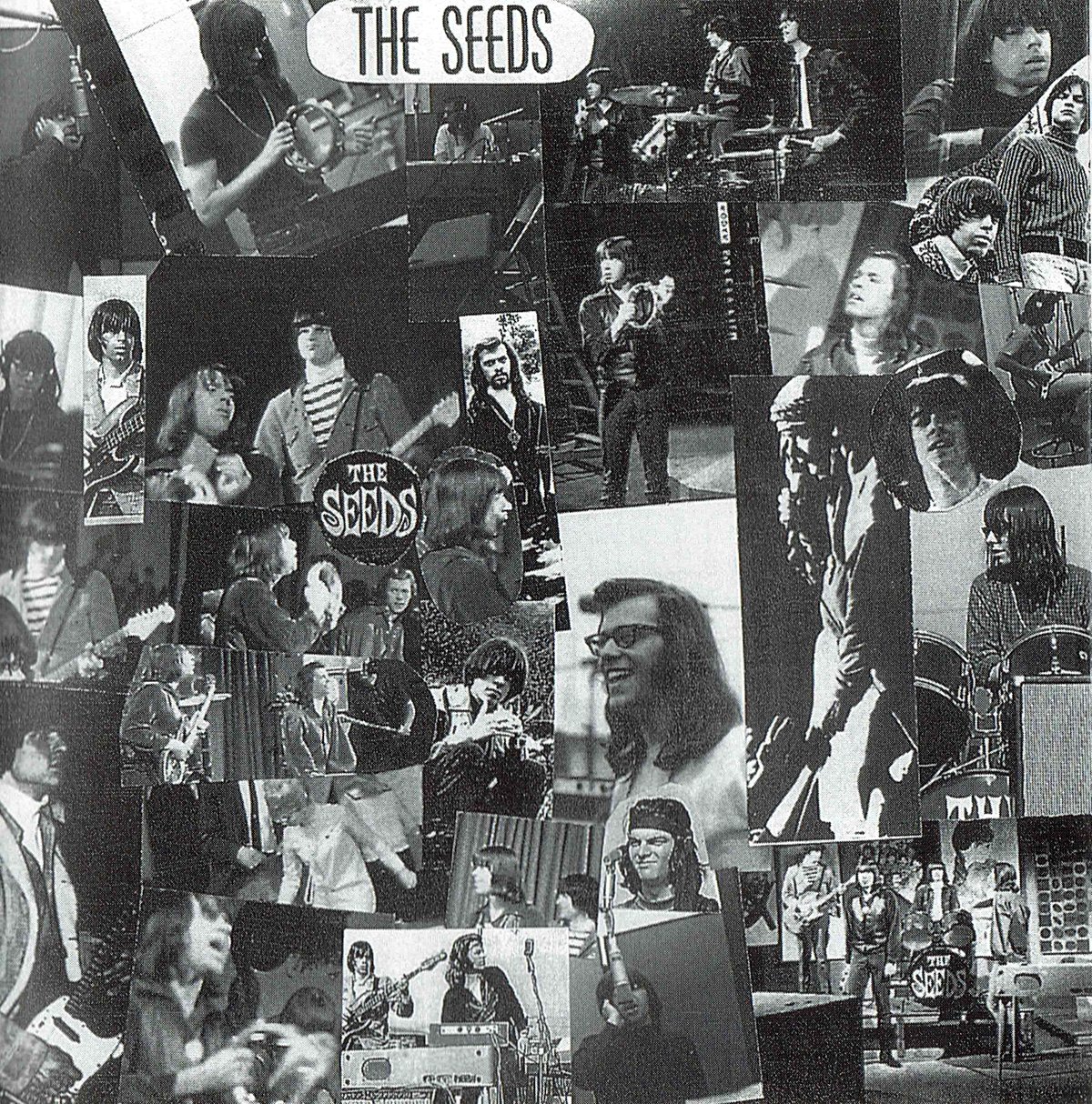 Collage of Seeds photos from the CD booklet