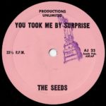 Seeds-You-Took-Me-By-Surprise